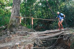 BIB: 
                            <button type="button" onclick="openModal(27304458)" class="btn btn-primary btn-sm float-right btn-popup" data-toggle="modal" data-target=".modal-high-quality">
                        <i class="fas fa-shopping-cart"></i> Add to Cart
                    </button>
                                            <button type="button" onclick="isThisMe(27304458, true)" class="btn btn-success btn-sm float-right btn-popup btn-isme hidden" data-toggle="tooltip" data-placement="bottom" title="นี่คือรูปของคุณใช่ไหม คลิกที่นี่เพื่อเอาเข้าอัลบั้ม">
                        <i class="fas fa-plus"></i> Add to album
                    </button>
                    <button type="button" onclick="isThisMe(27304458, false)" class="btn btn-warning btn-sm float-right btn-popup btn-isnotme hidden">
                        <i class="fas fa-ban"></i> Remove from album
                    </button>